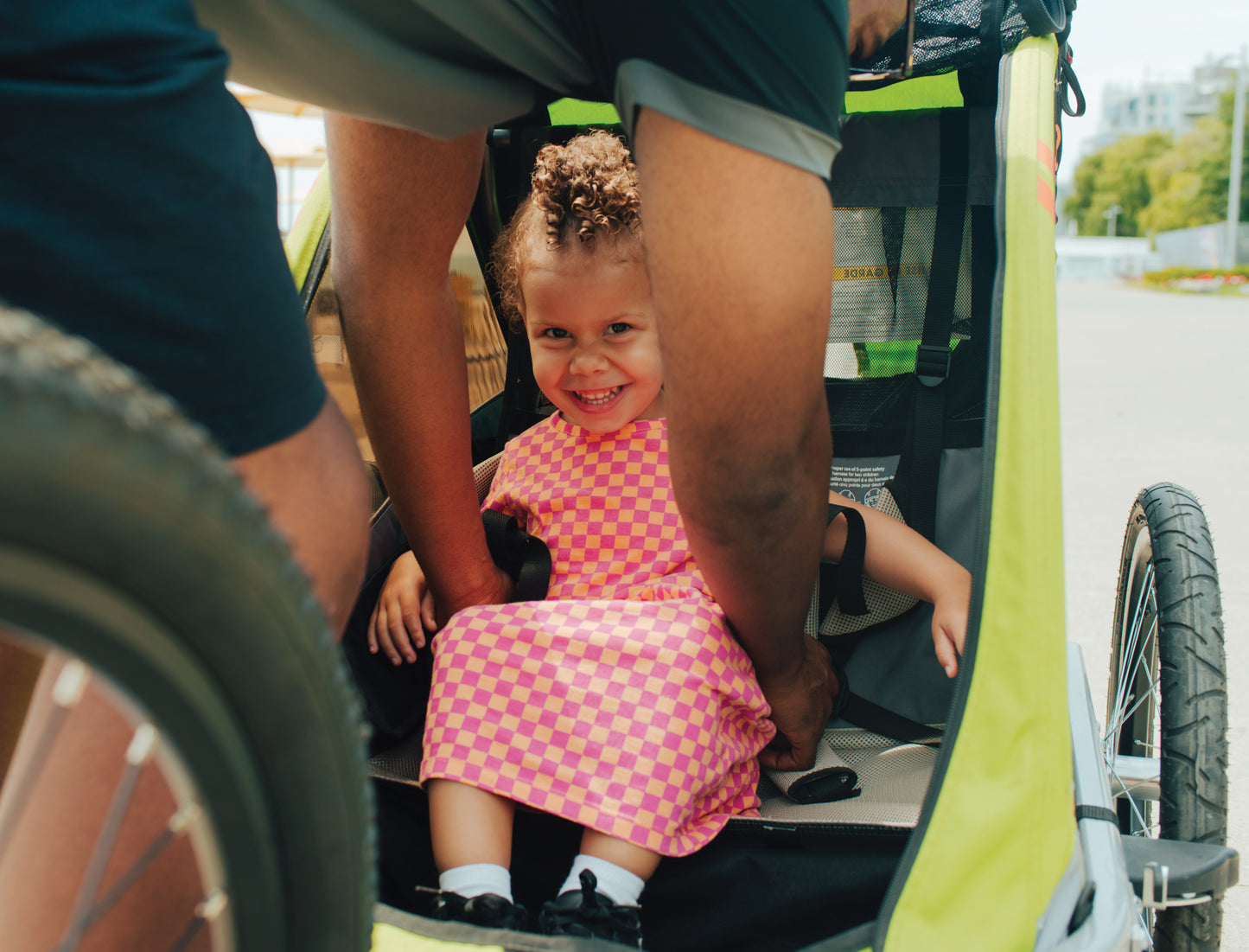 Everyday Traveler DLX+ Bike Trailer